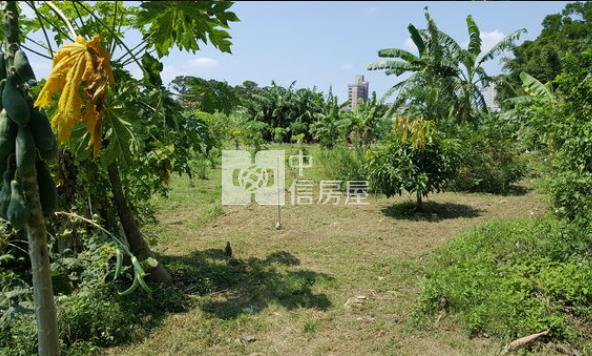 環中東路都內農地房屋室內格局與周邊環境