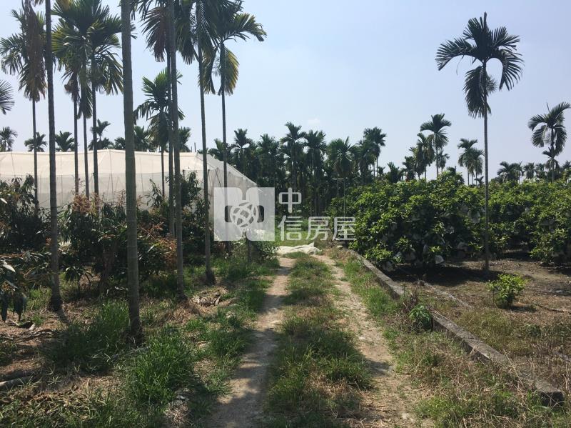黎明山景農地房屋室內格局與周邊環境