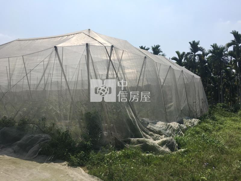 黎明山景農地房屋室內格局與周邊環境