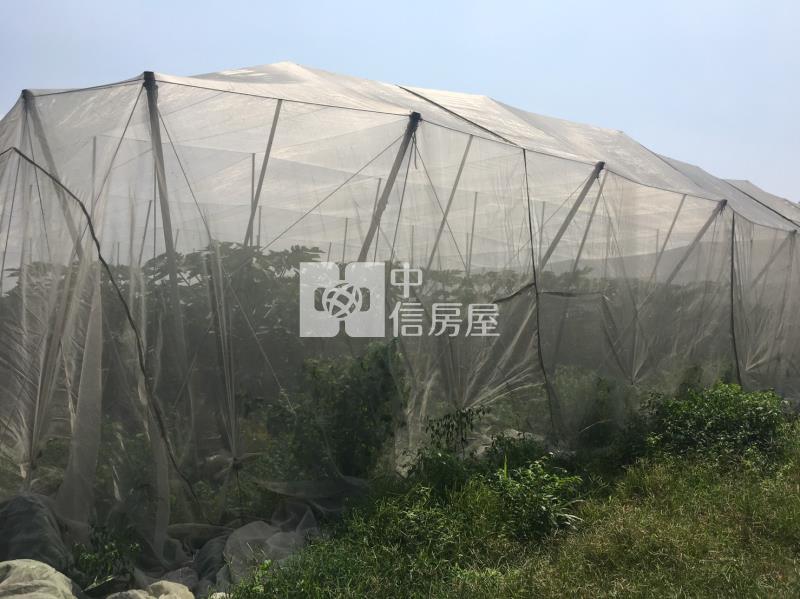 黎明山景農地房屋室內格局與周邊環境