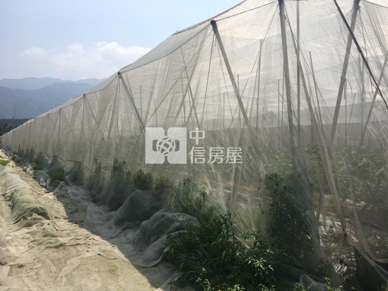 黎明山景農地房屋室內格局與周邊環境