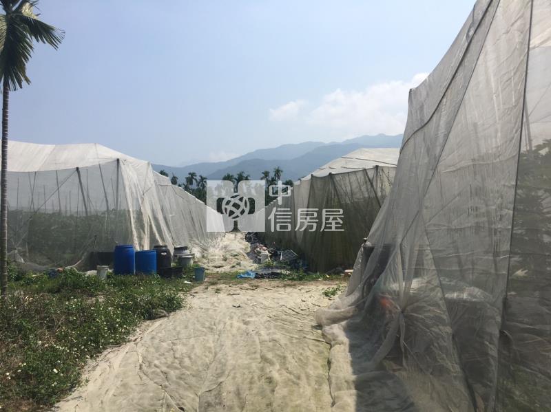 黎明山景農地房屋室內格局與周邊環境