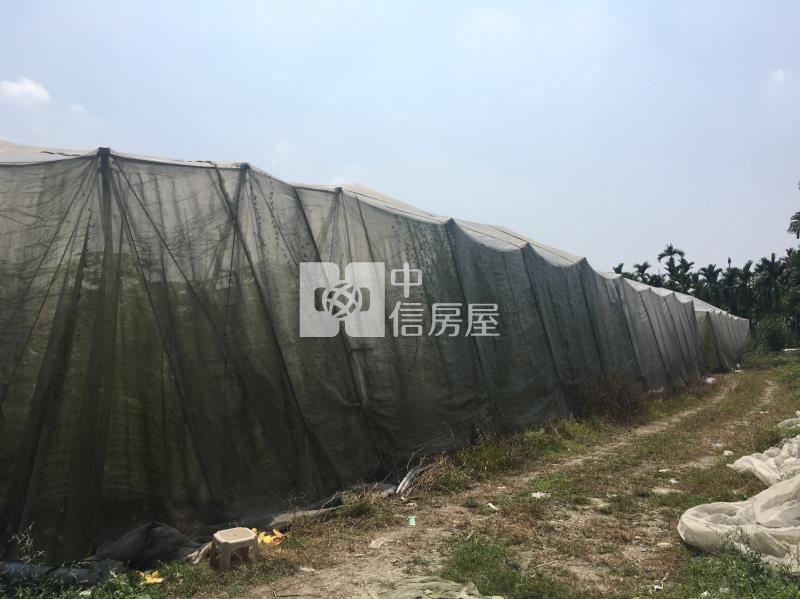 黎明山景農地房屋室內格局與周邊環境