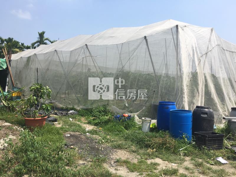 黎明山景農地房屋室內格局與周邊環境