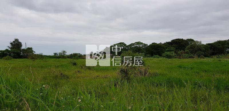 大園華興路旁農地(可分割)房屋室內格局與周邊環境