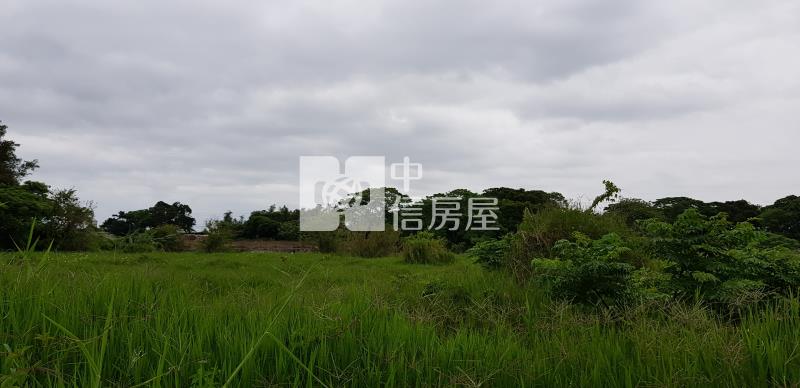 大園華興路旁農地(可分割)房屋室內格局與周邊環境