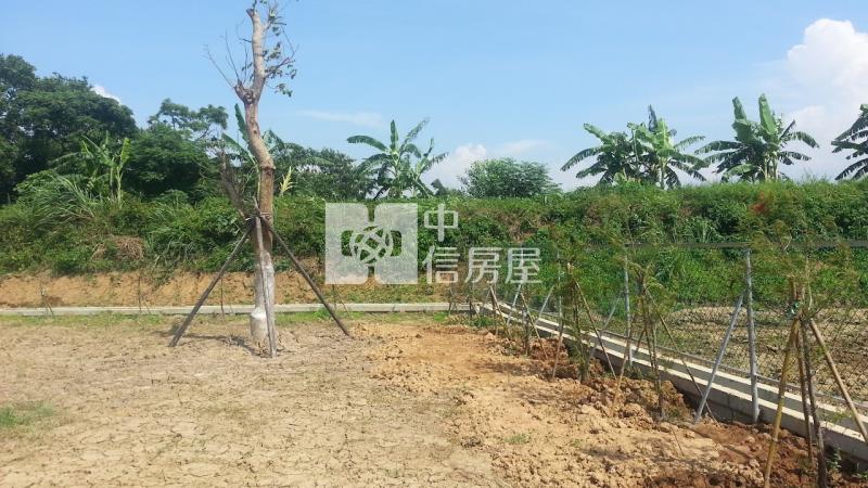 楊梅電研路農保用地房屋室內格局與周邊環境