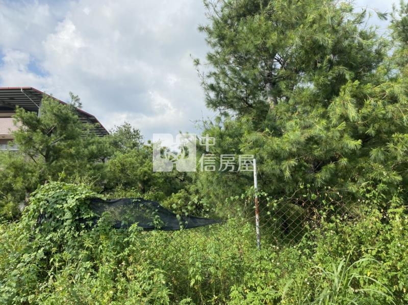 近福興美地房屋室內格局與周邊環境