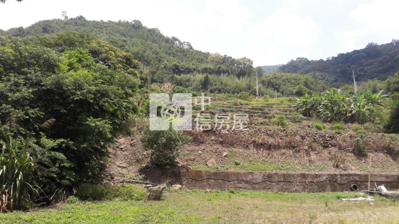 霞雲坪農舍(原保地)房屋室內格局與周邊環境