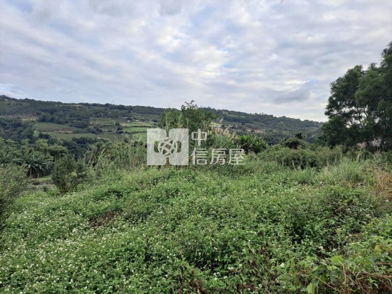台東初鹿719坪農地B房屋室內格局與周邊環境