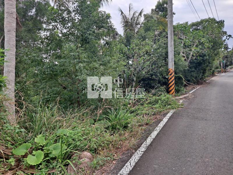 台東初鹿719坪農地B房屋室內格局與周邊環境