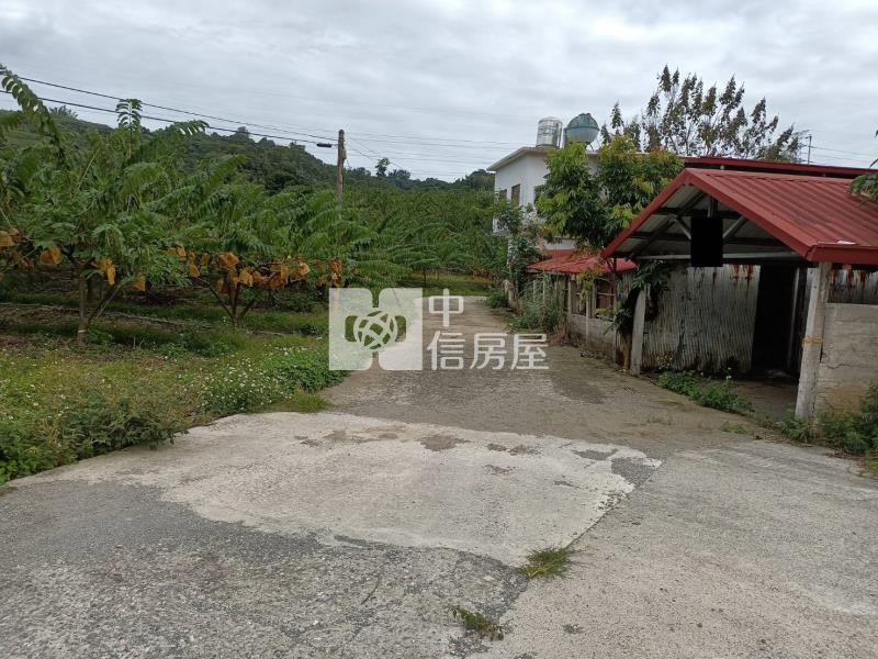 台東初鹿1805合法農舍農地C房屋室內格局與周邊環境