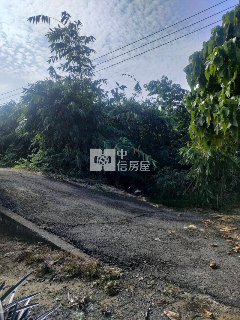 古坑新庄農地房屋室內格局與周邊環境
