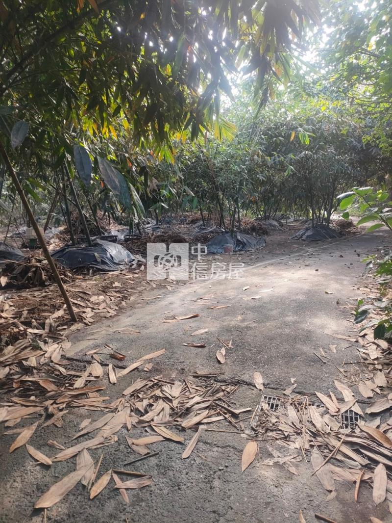 古坑新庄農地房屋室內格局與周邊環境