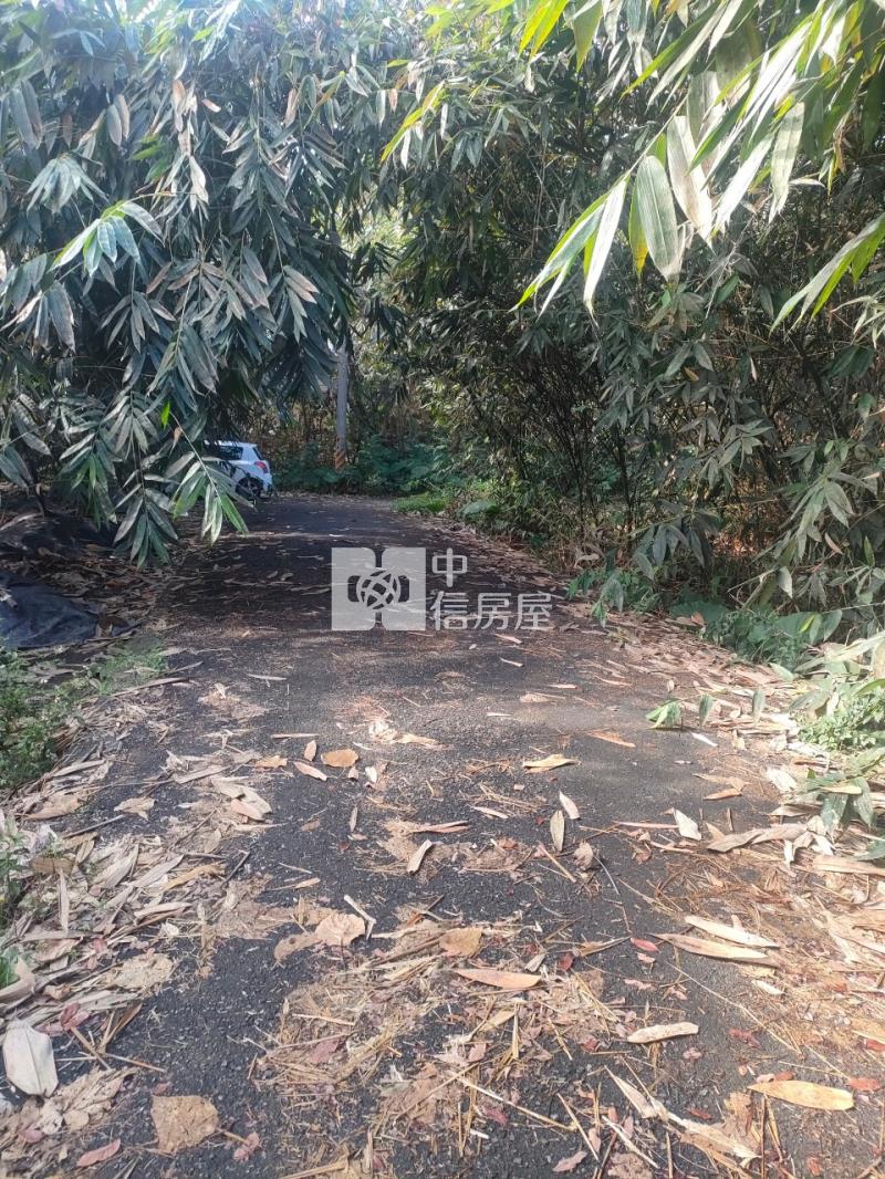 古坑新庄農地房屋室內格局與周邊環境