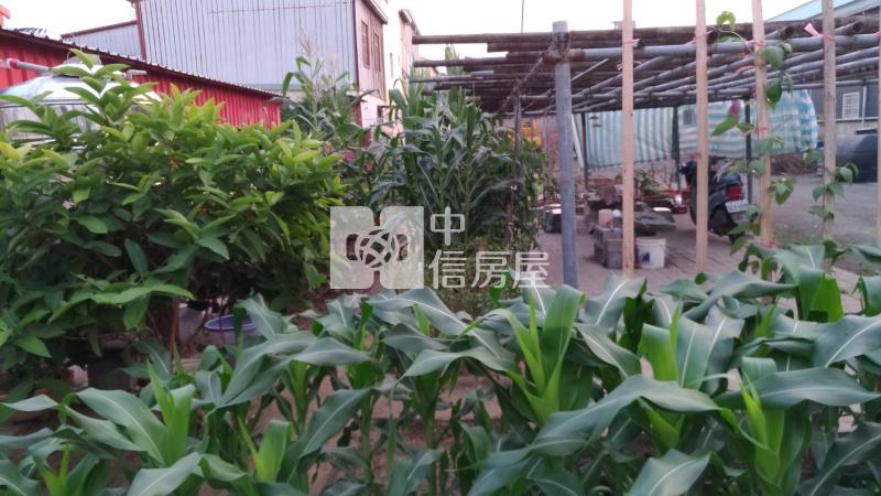 永康大灣交流道旁方正乙工地房屋室內格局與周邊環境