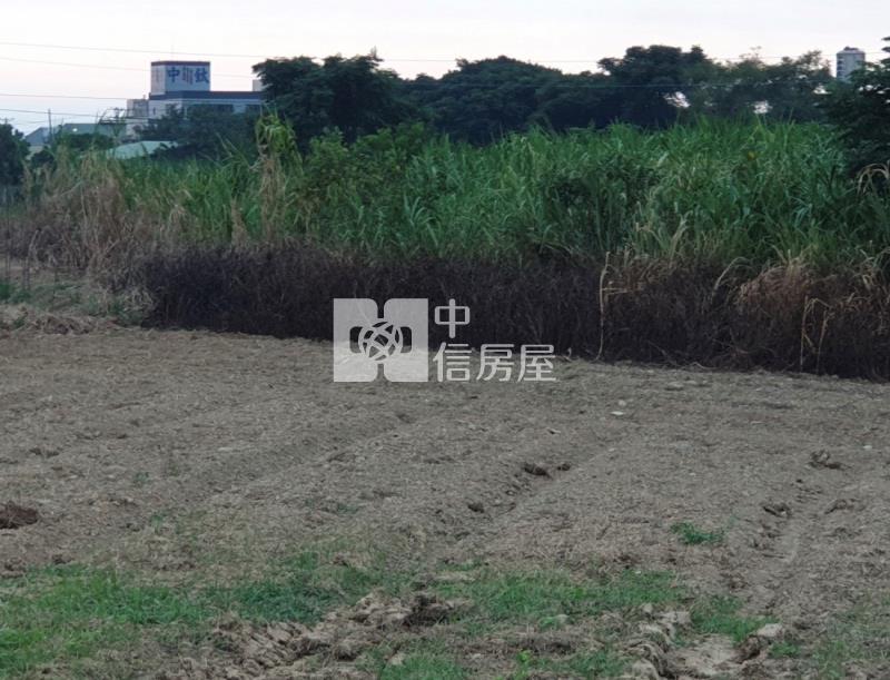 【安家】近新坡農地房屋室內格局與周邊環境