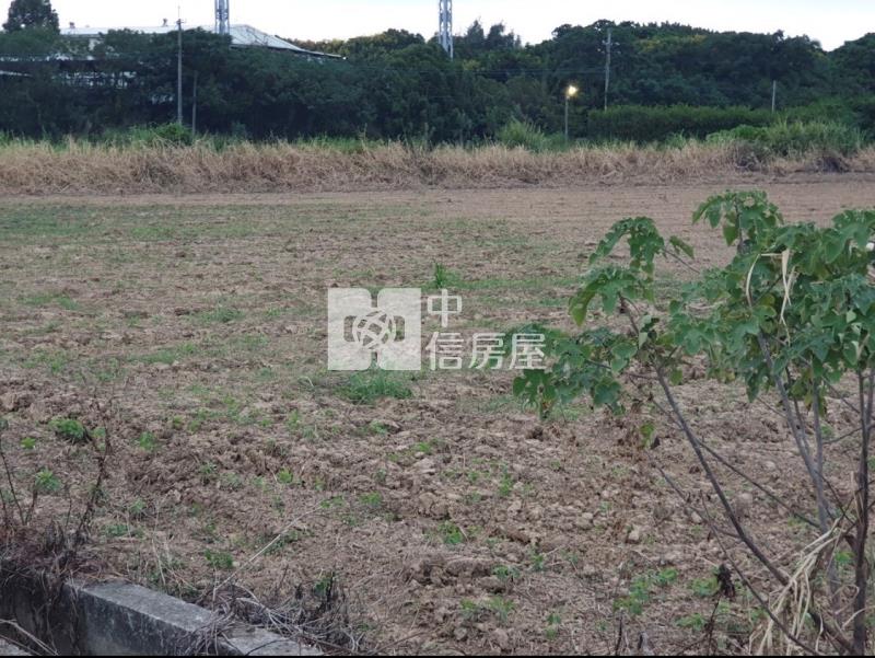 【安家】近新坡農地房屋室內格局與周邊環境