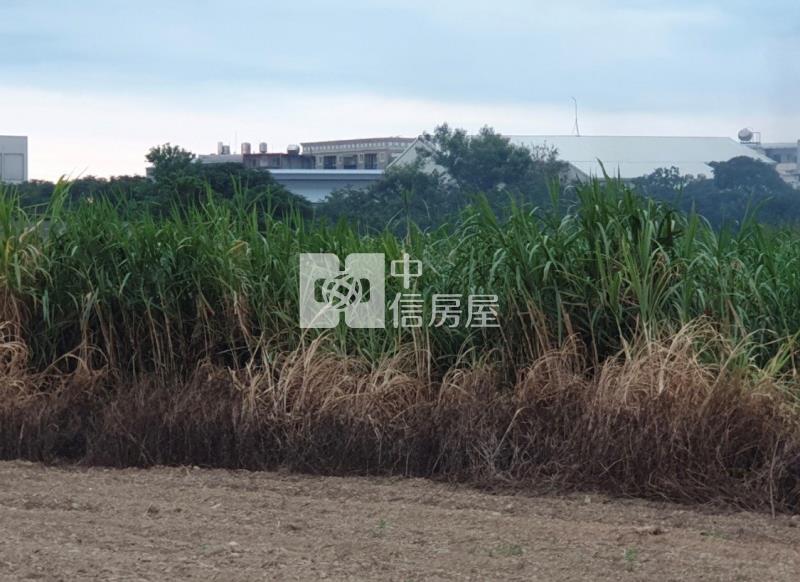 【安家】近新坡農地房屋室內格局與周邊環境