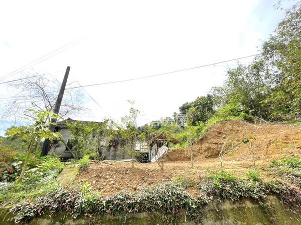 大坑農舍+大地坪農地房屋室內格局與周邊環境
