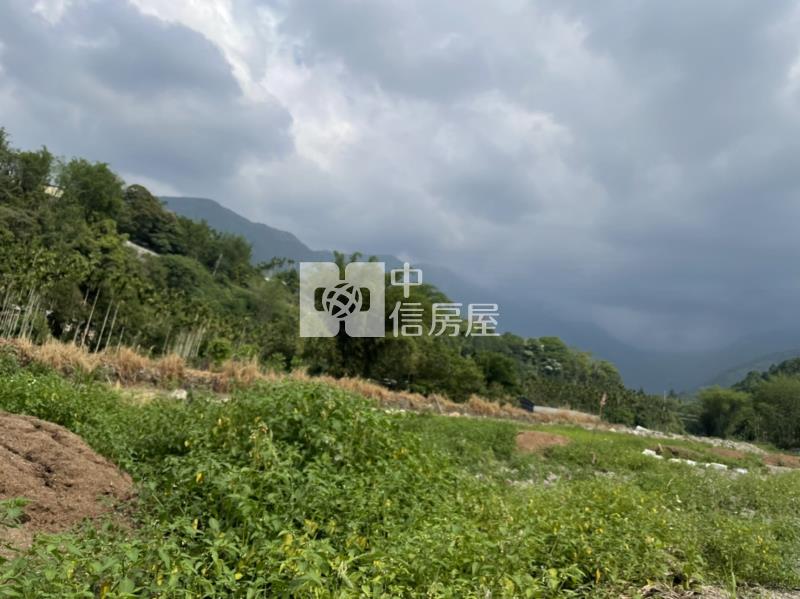 長寮尾景觀旺田房屋室內格局與周邊環境