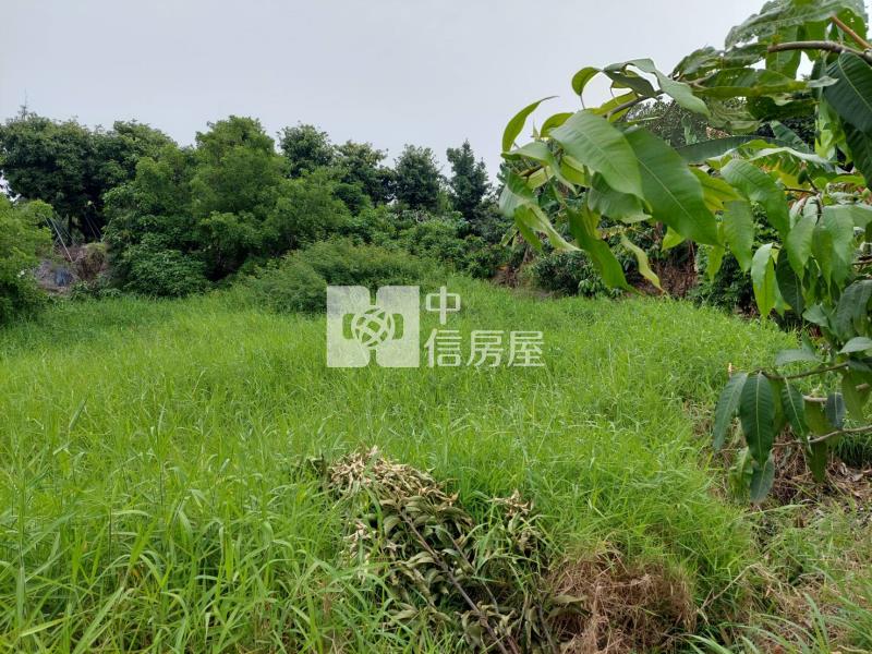 新化6分4農地房屋室內格局與周邊環境