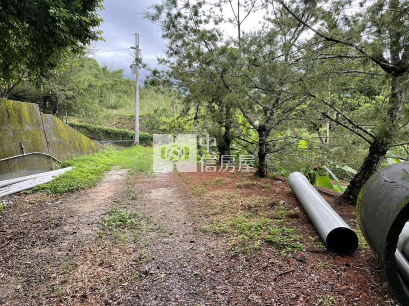 三條崙山坡地房屋室內格局與周邊環境
