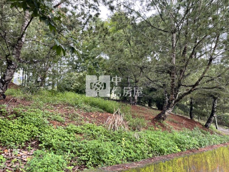 三條崙山坡地房屋室內格局與周邊環境