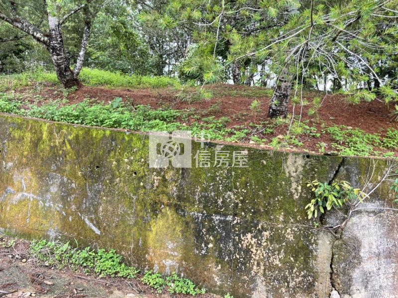 三條崙山坡地房屋室內格局與周邊環境