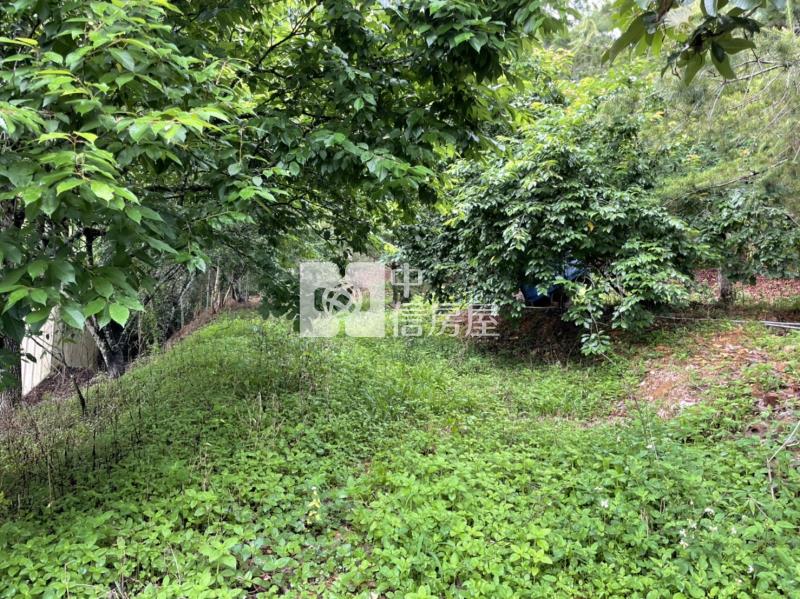 三條崙山坡地房屋室內格局與周邊環境