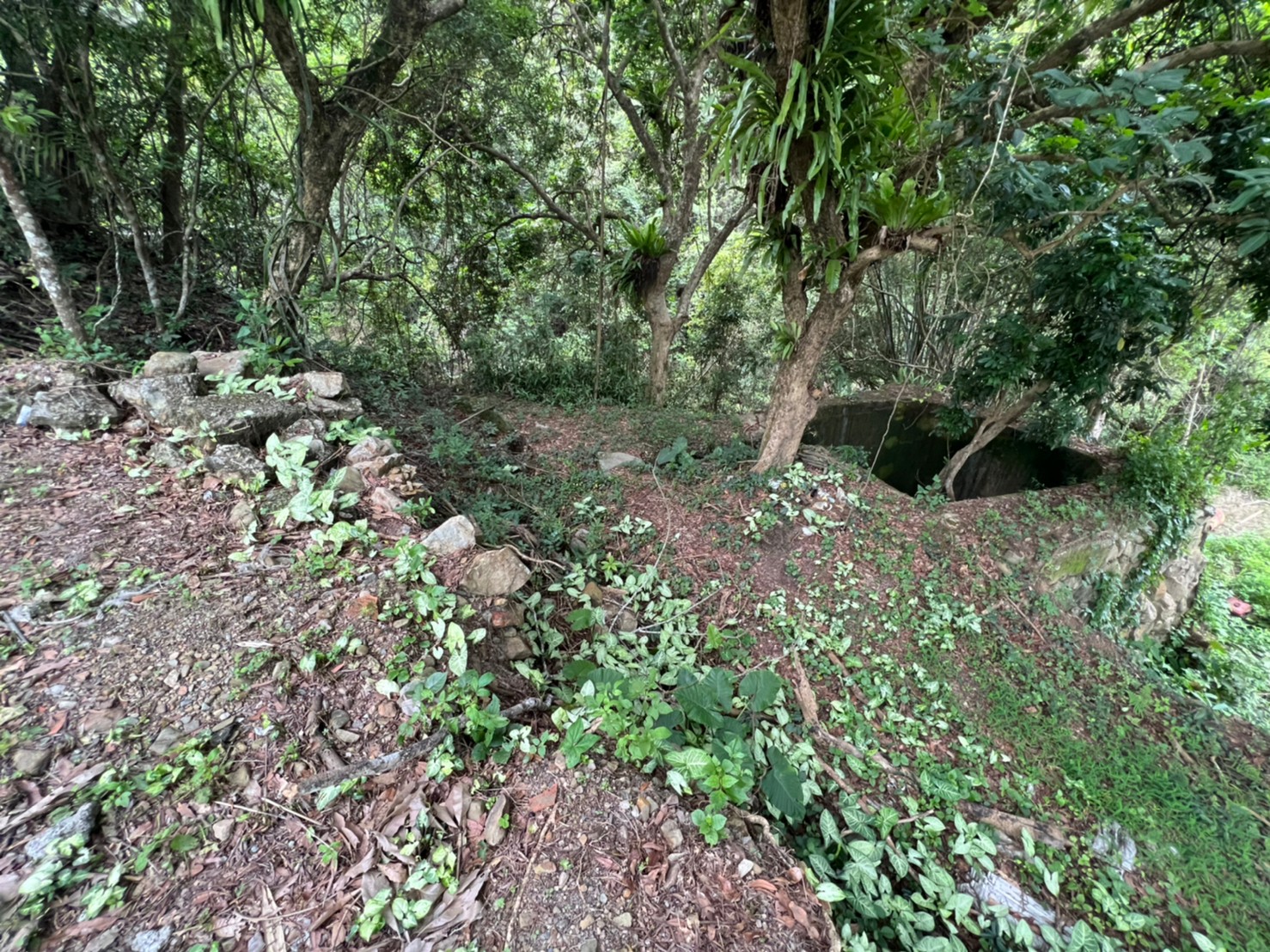 種瓜路田+建房屋室內格局與周邊環境