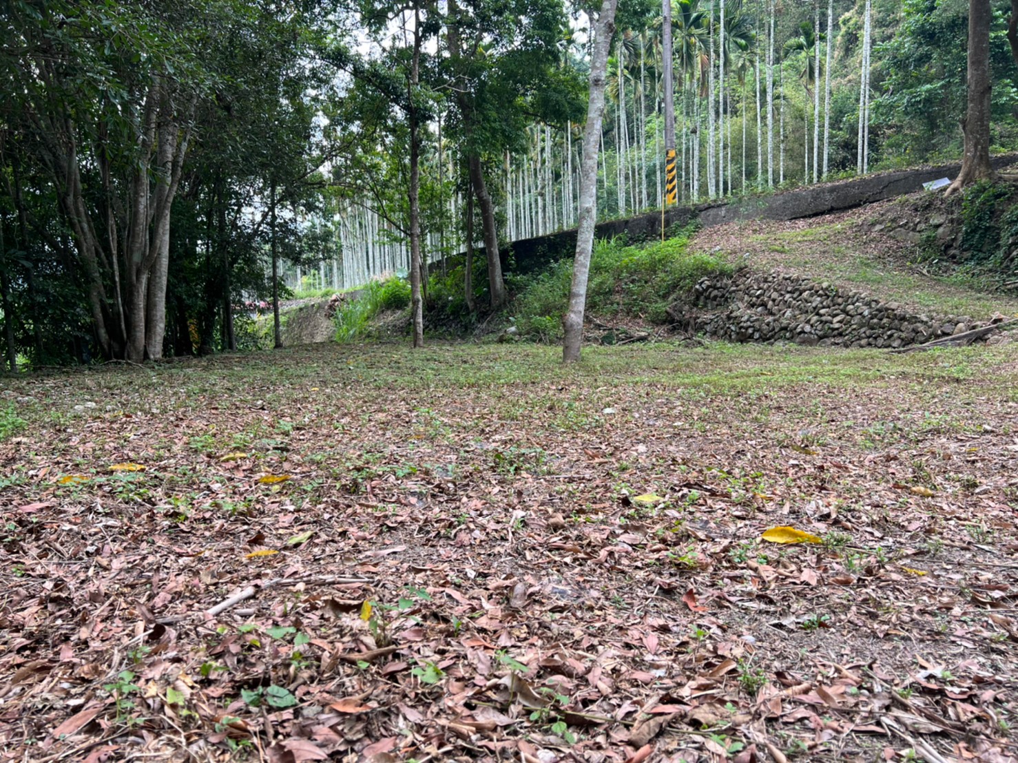 種瓜路田+建房屋室內格局與周邊環境