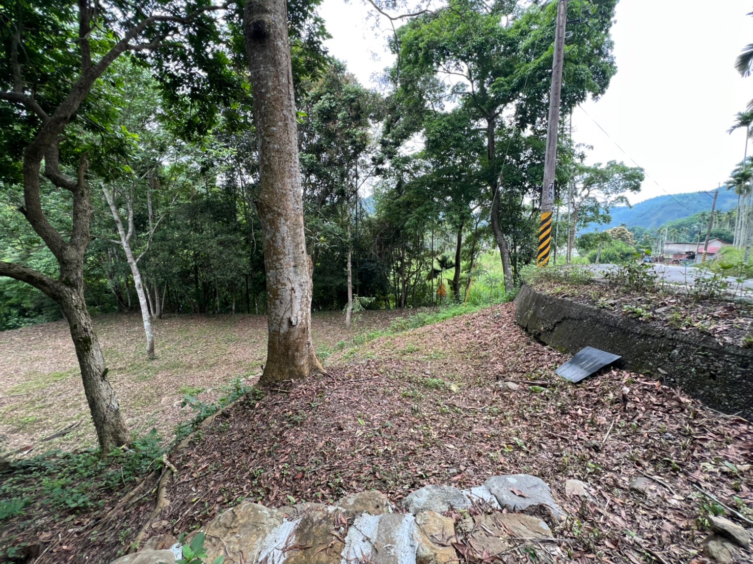 種瓜路田+建房屋室內格局與周邊環境