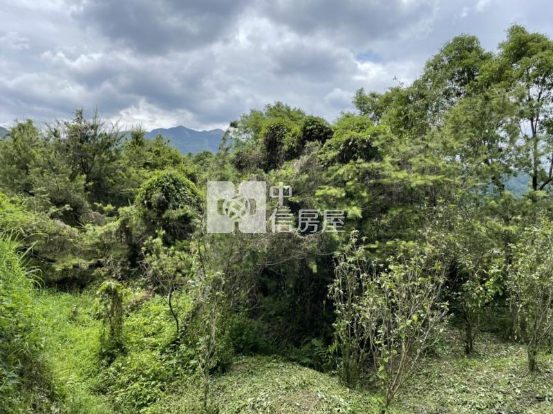 內埔鄉村美田房屋室內格局與周邊環境