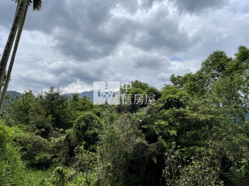 內埔鄉村美田房屋室內格局與周邊環境