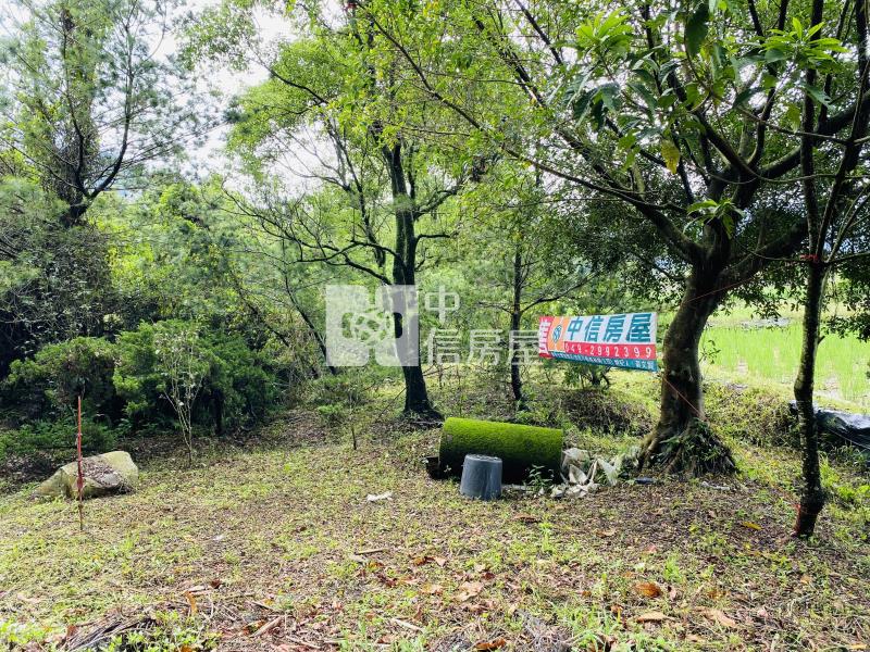 內埔鄉村美田房屋室內格局與周邊環境