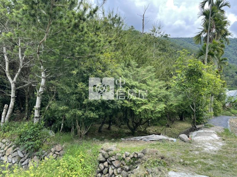 內埔鄉村美田房屋室內格局與周邊環境