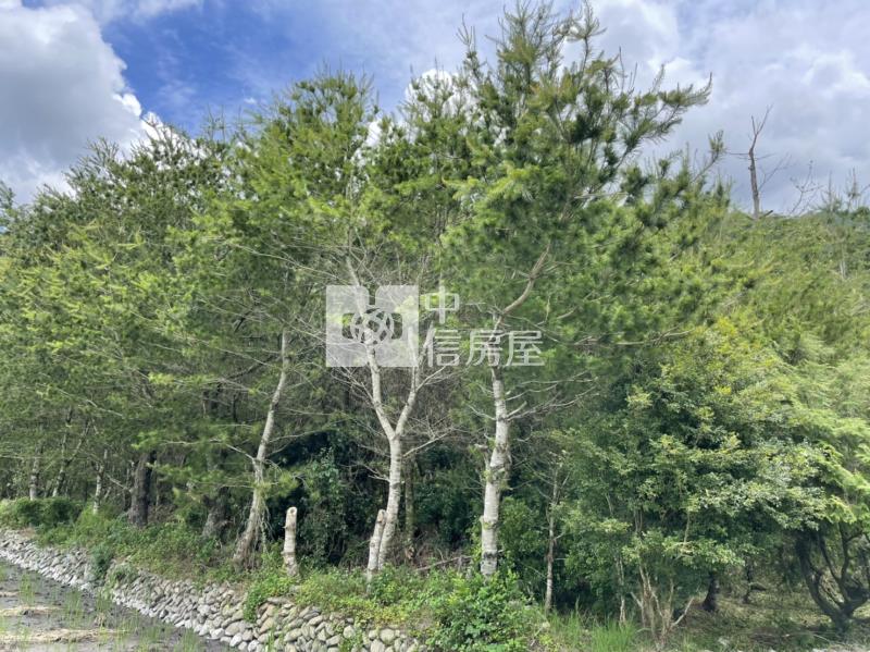 內埔鄉村美田房屋室內格局與周邊環境