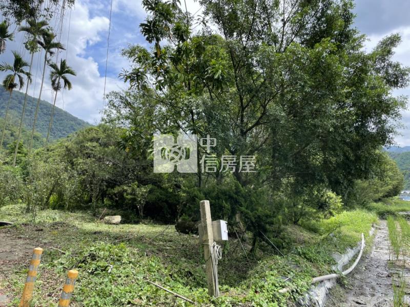 內埔鄉村美田房屋室內格局與周邊環境