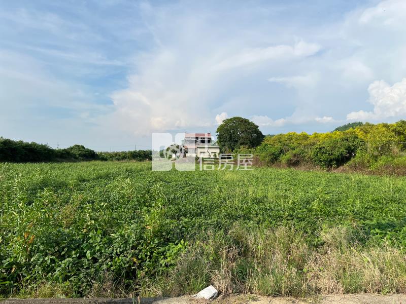 六甲工研院都內農地(1)房屋室內格局與周邊環境