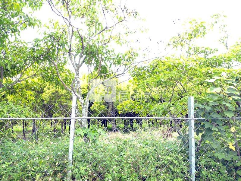 近工研院南分院都內農地(一)房屋室內格局與周邊環境