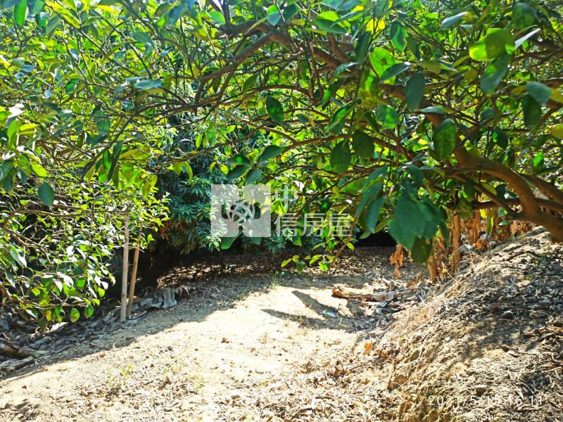 F004A 民雄農地房屋室內格局與周邊環境