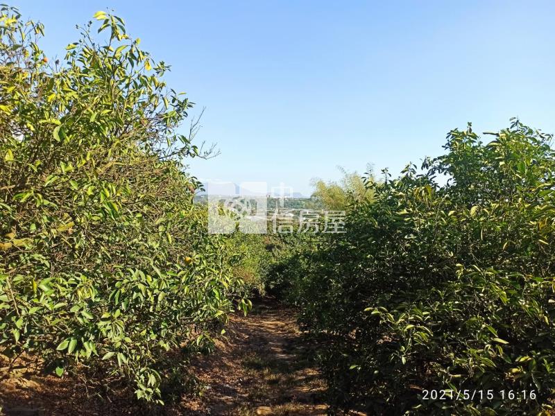 F004A 民雄農地房屋室內格局與周邊環境