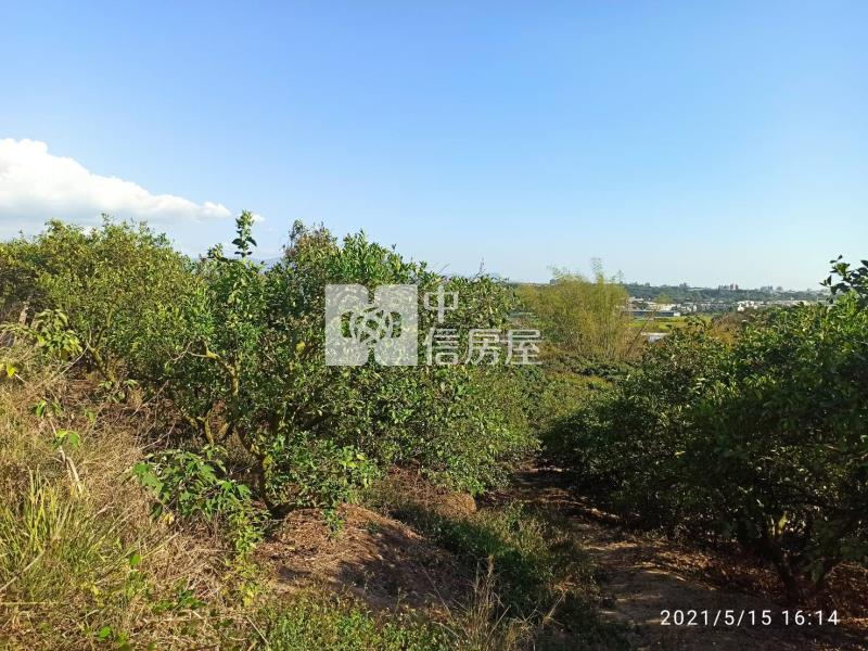 F004A 民雄農地房屋室內格局與周邊環境