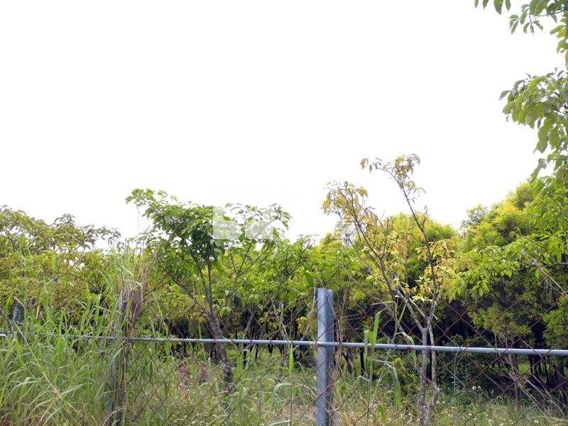 近工研院南分院都內農地(十一)房屋室內格局與周邊環境