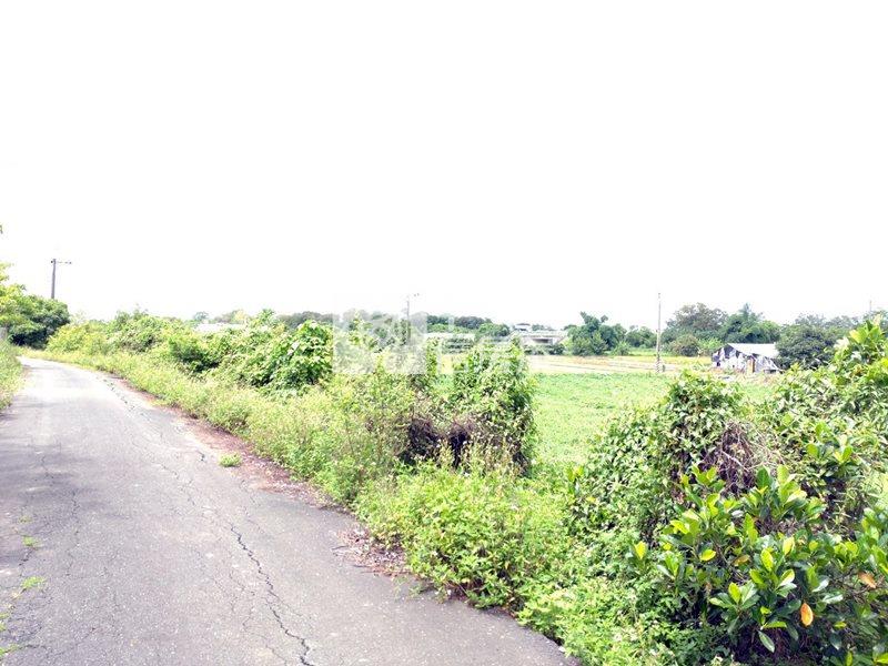 近工研院南分院都內農地(十一)房屋室內格局與周邊環境