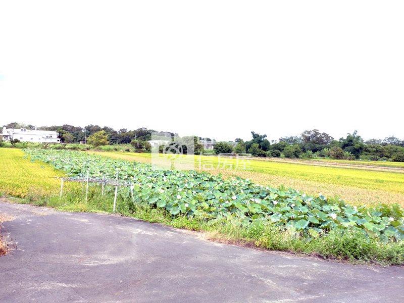 近工研院南分院都內農地(十一)房屋室內格局與周邊環境
