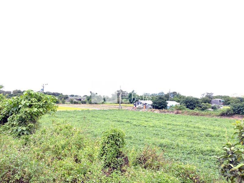 近工研院南分院都內農地(十一)房屋室內格局與周邊環境