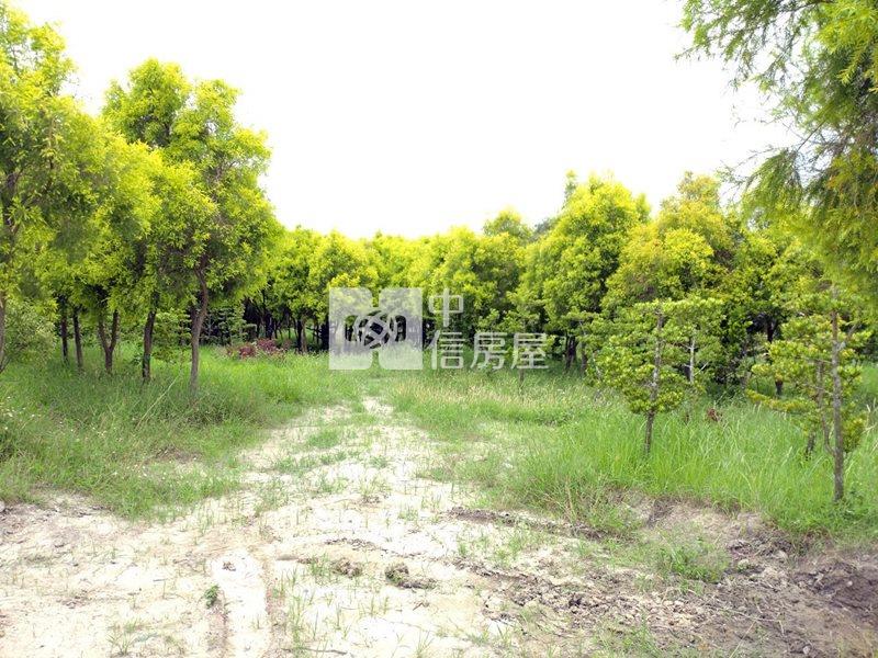 近工研院南分院都內農地(十一)房屋室內格局與周邊環境