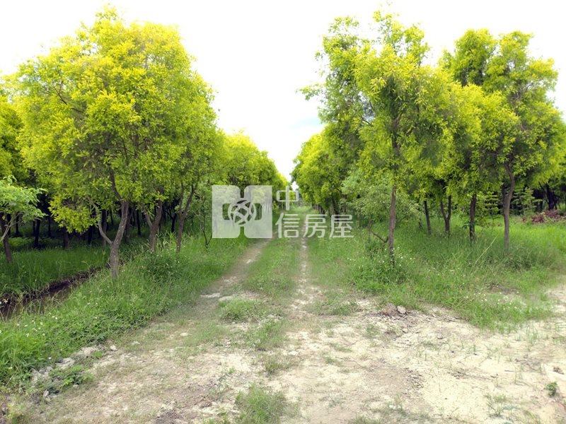 近工研院南分院都內農地(十一)房屋室內格局與周邊環境